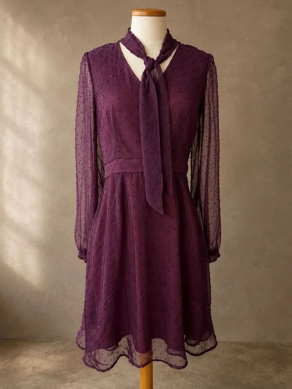 ModCloth Size 6 Apogee of Elegance Swiss Dot Tie Neck Fit & Flare Plum Dress